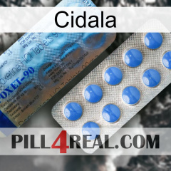 Cidala 40